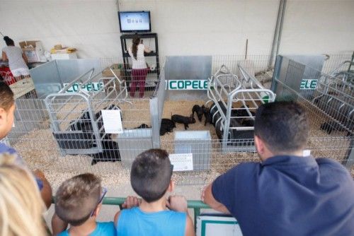 Inauguración de la Feria del ganado