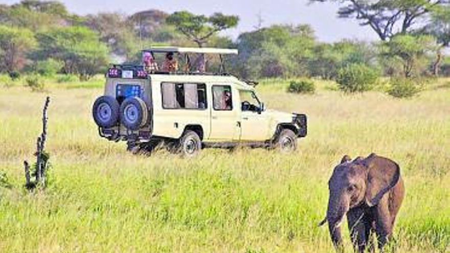 Els safaris per l’Àfrica són també una bona opció. | DDG