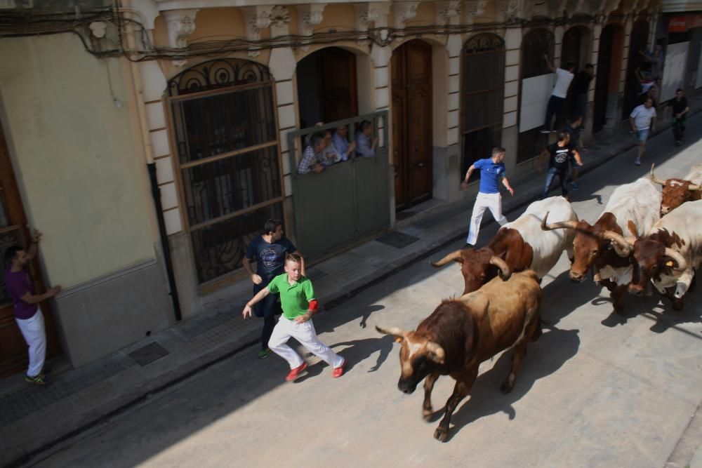 Festes de Santa Quitèria en Almassora