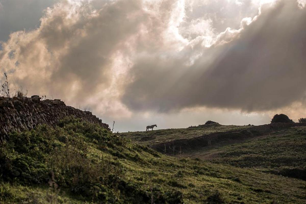 Intervalos nubosos, mínimas sin cambios y máximas en ascenso