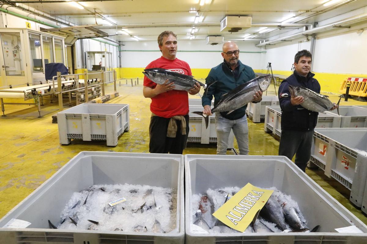 En imágenes: Primera subasta del bonito en la rula de Avilés