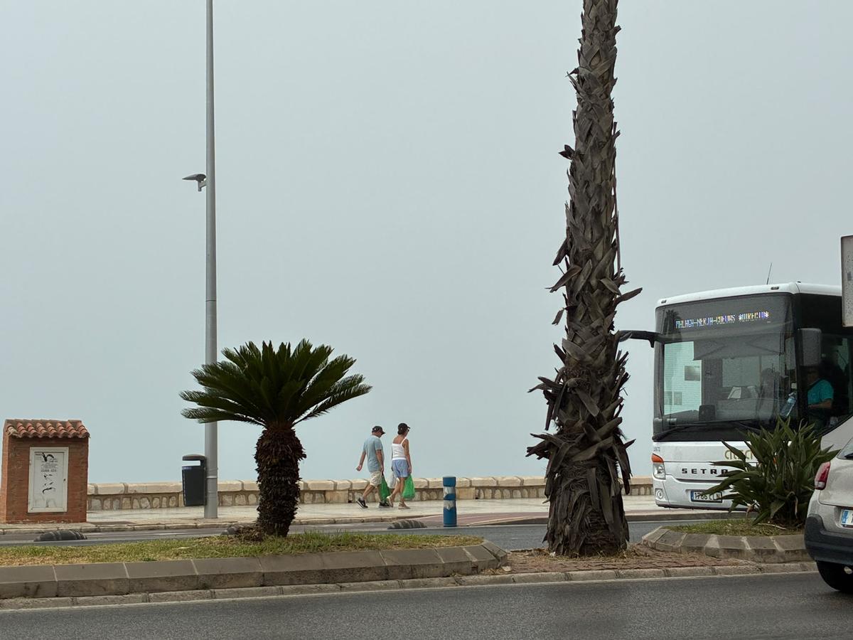 La Taró ha cubierto Málaga este sábado