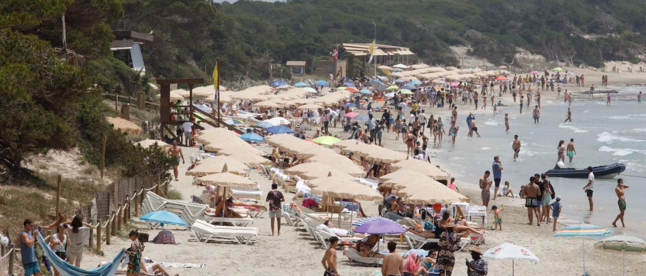 Playa de ses Salines esta temporada. | J.A.RIERA