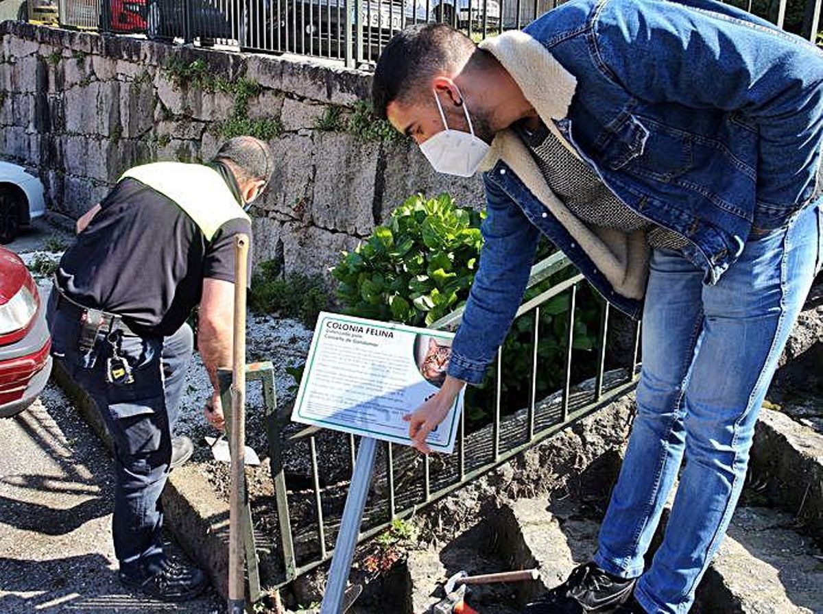 Brais Misa muestra el cartel que señaliza la colonia de gatos de San Benito. | // M.G.BREA