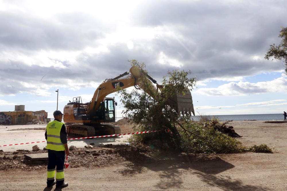 Trabajo de demolición de las antiguas pistas de tenis e instalaciones sin uso de los Baños del Carmen.