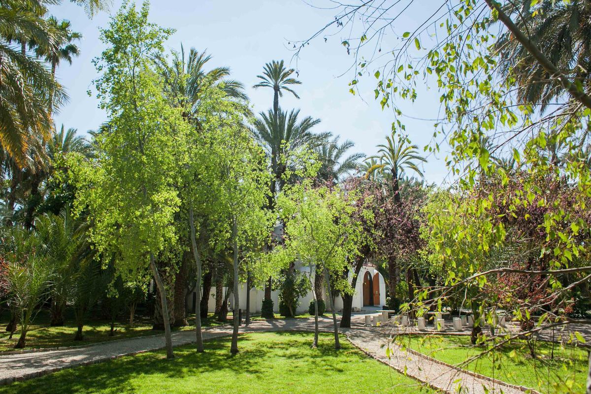 Diversidad de especies en el Parque Municipal de Elche