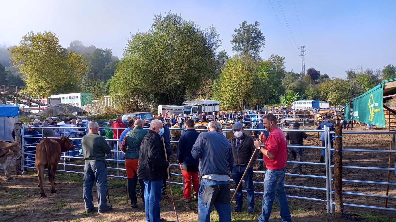 Así fue la feria de Santa Teresa en Piloña: mucha participación pero precios bajos