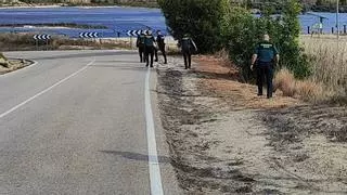 La Guardia Civil baraja que el brazo hallado en Alicante es de una mujer alemana y busca a su marido