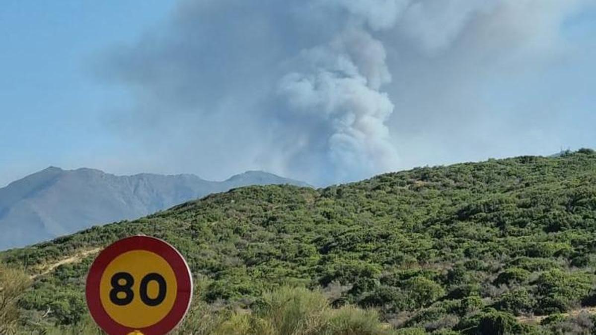 Vista del pirocúmulo formado por incendio en Sierra Bermeja.