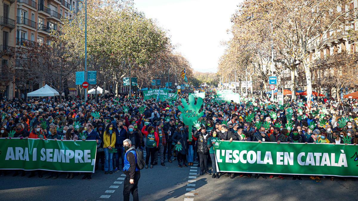 Manifestación por la lengua