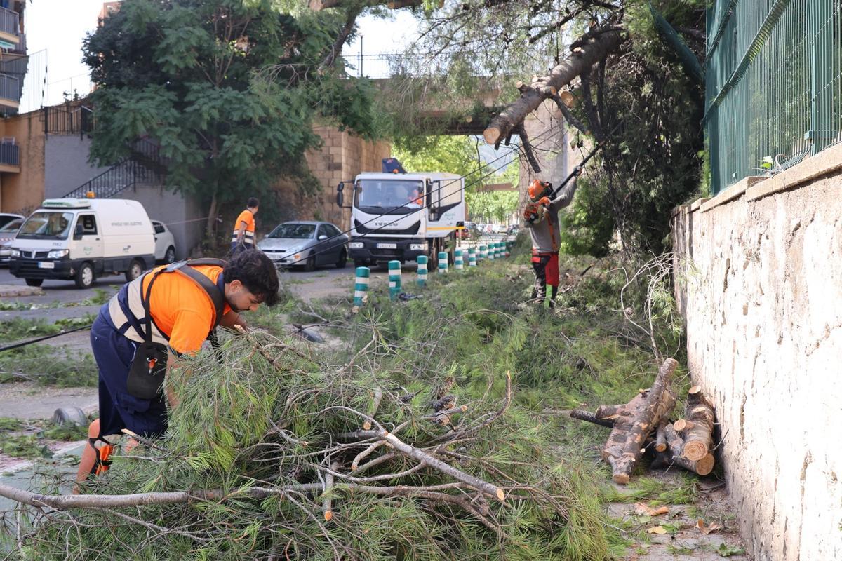Servicios de limpieza, en plena tarea, tras los incidentes causados por la meteorología.