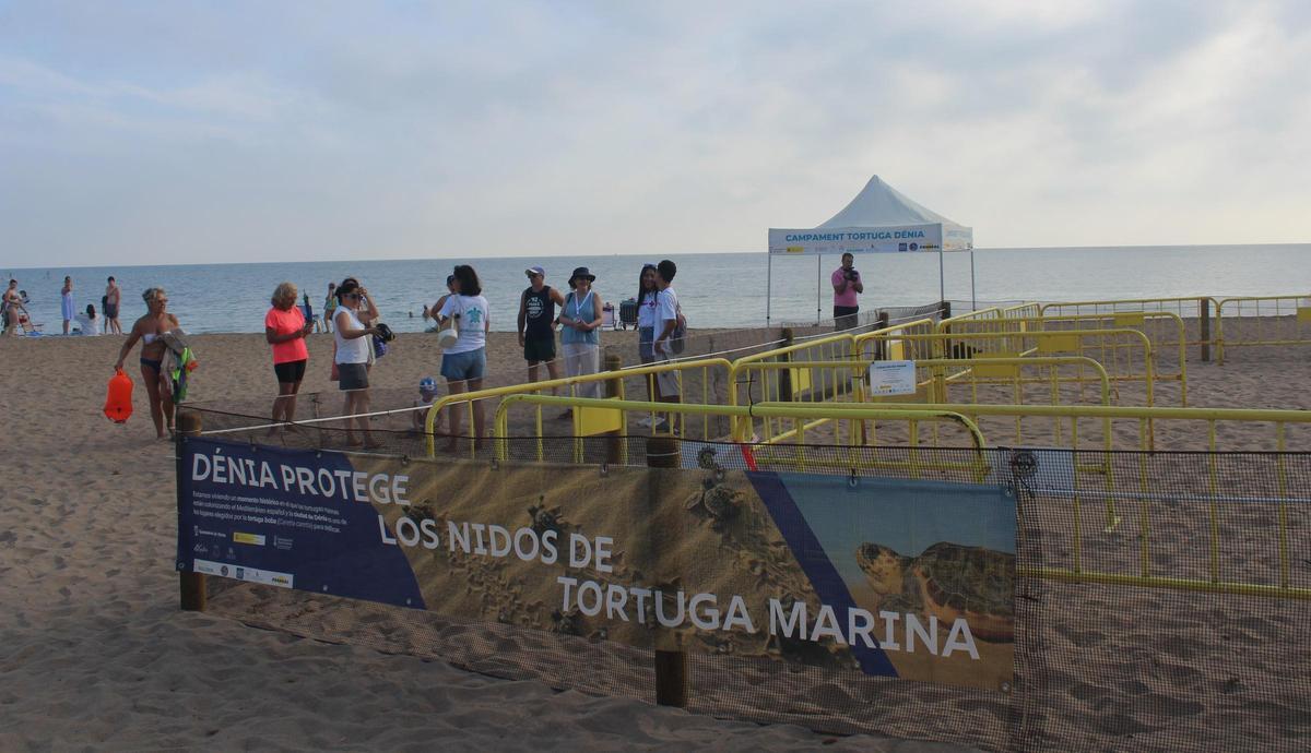 El "Campamento Tortuga" está en la playa de les Albaranes