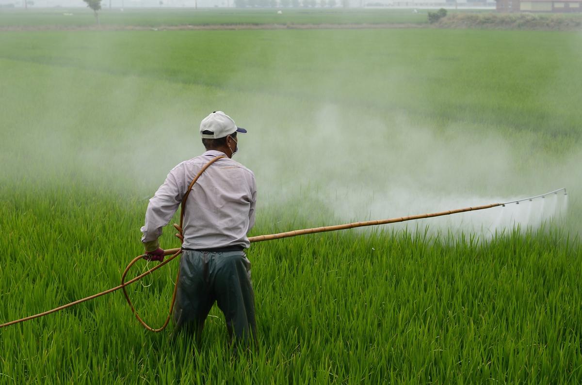 Un agricultor usando pesticidas.