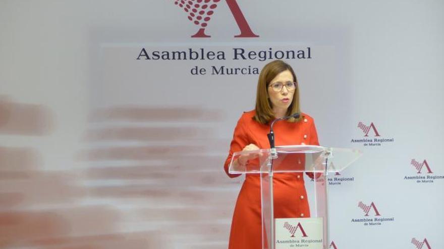 Ana Belén Castejón, ayer en la Asamblea.