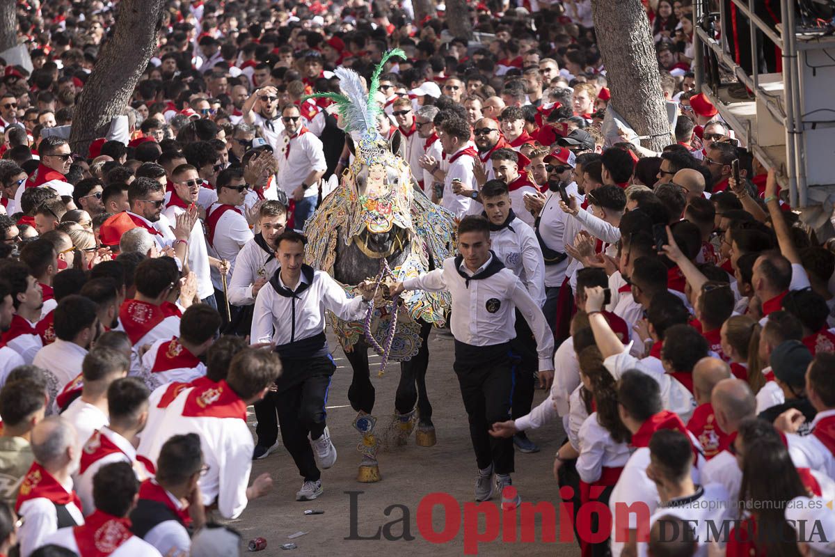 Así se ha vivido la carrera de Los Caballos del Vino en Caravaca