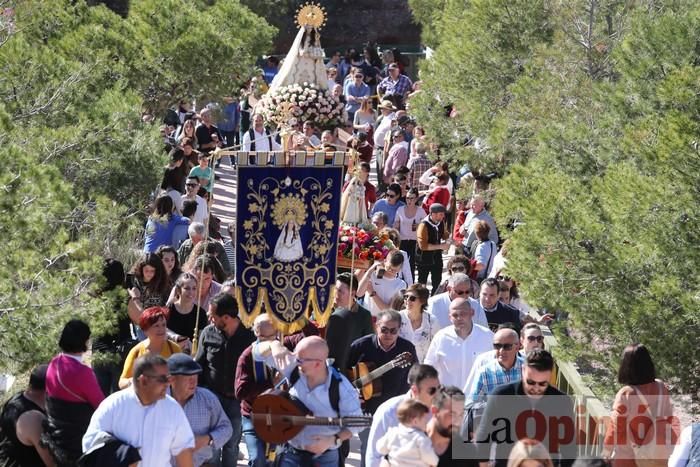 Romería de La Hoya (II)