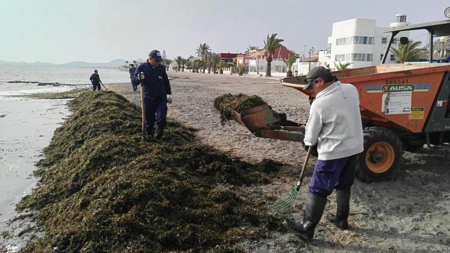 Casi 1.400 metros cúbicos de residuos menos en el Mar Menor