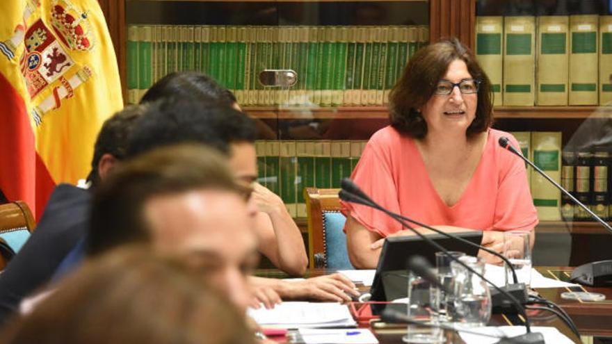 María José Guerra, durante su comparecencia en la Comisión Parlamentaria.