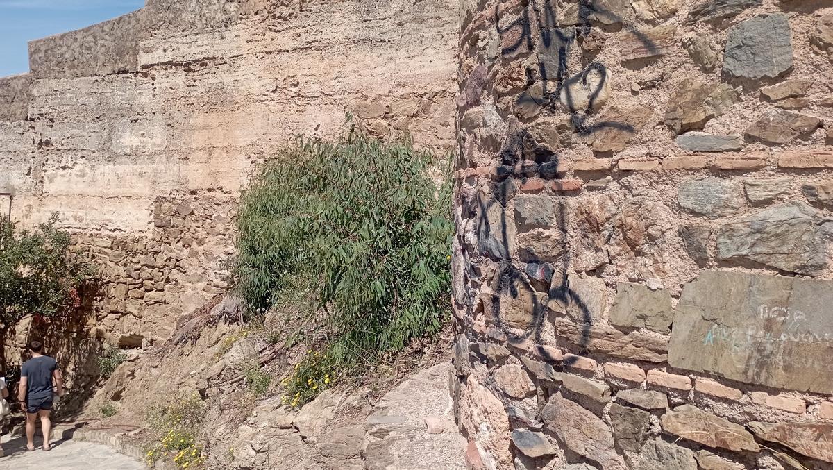 Una de las pintadas fálicas en la coracha terrestre, en plena subida al Castillo de Gibralfaro, la pasada semana.