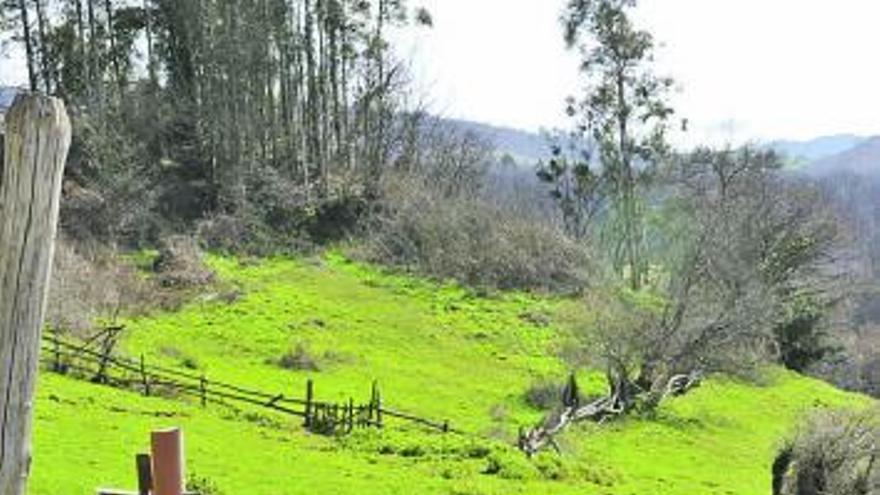 Protestas por un caballo muerto en Viesca