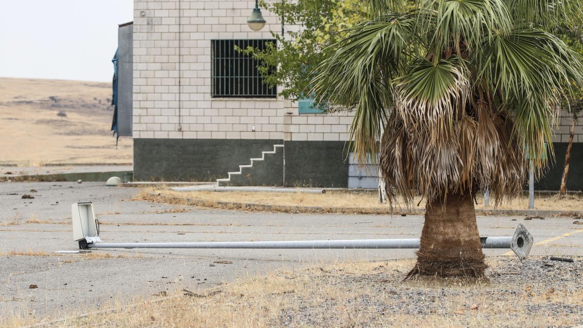 Algunas farolas del perímetro del matadero han acabado por los suelos. El cableado ha volado.