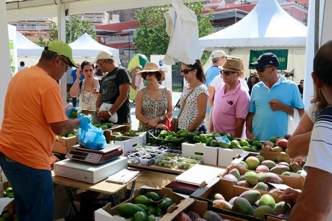 I Feria del Mango y Aguacate de Verano de Mogán