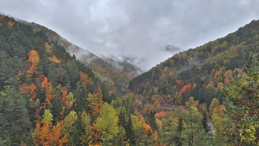 El colorido bosque oscense que debes visitar este otoño