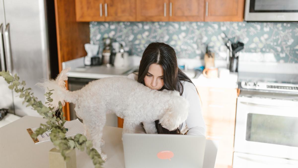 Consejos para que tu perro esté contento en casa.