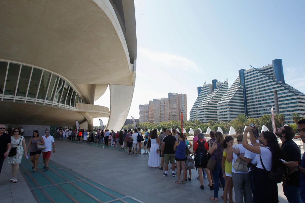 Jornada de puestas abiertas en el Palau de les Arts