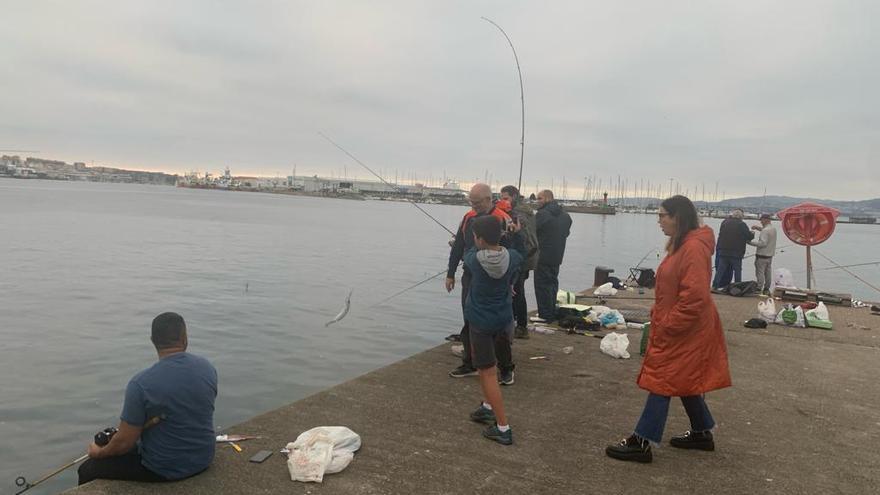 Festín de caballas en los muelles de Beiramar: &quot;Pican seguido&quot;