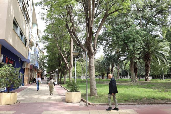Ratas avistadas en el parque del paseo Marinero Luis de Torres, en La Flota