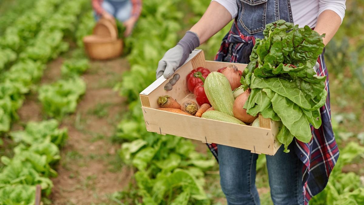 5 recetas con alimentos de temporada de enero.