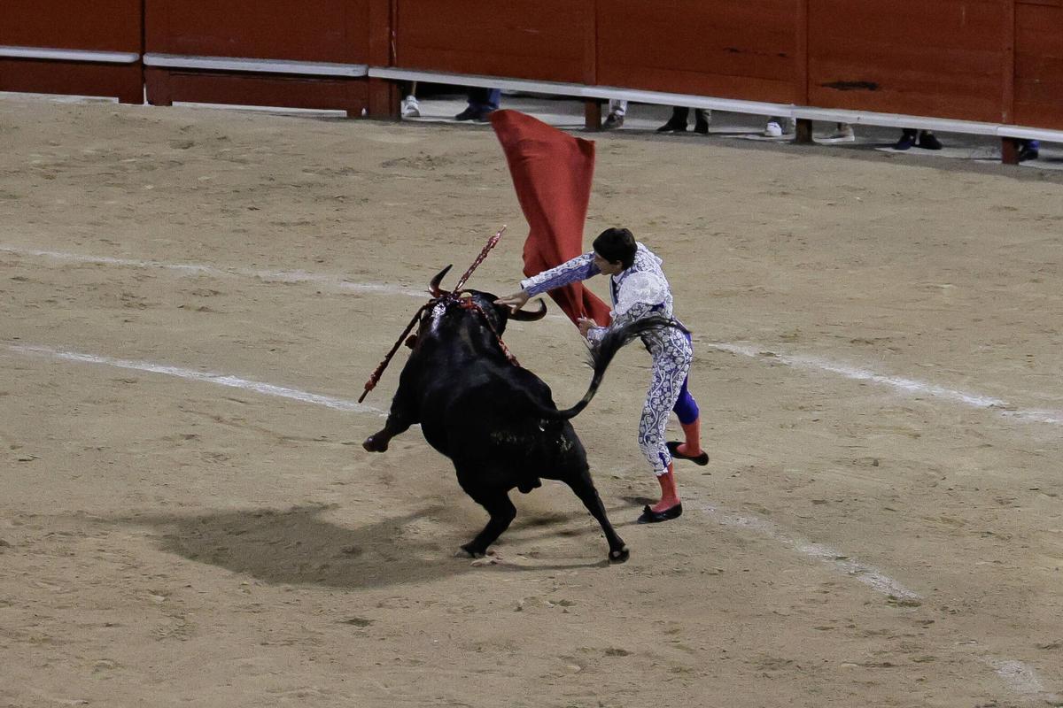 La corrida de toros celebrada el 30 de julio en el Coliseo de Palma.