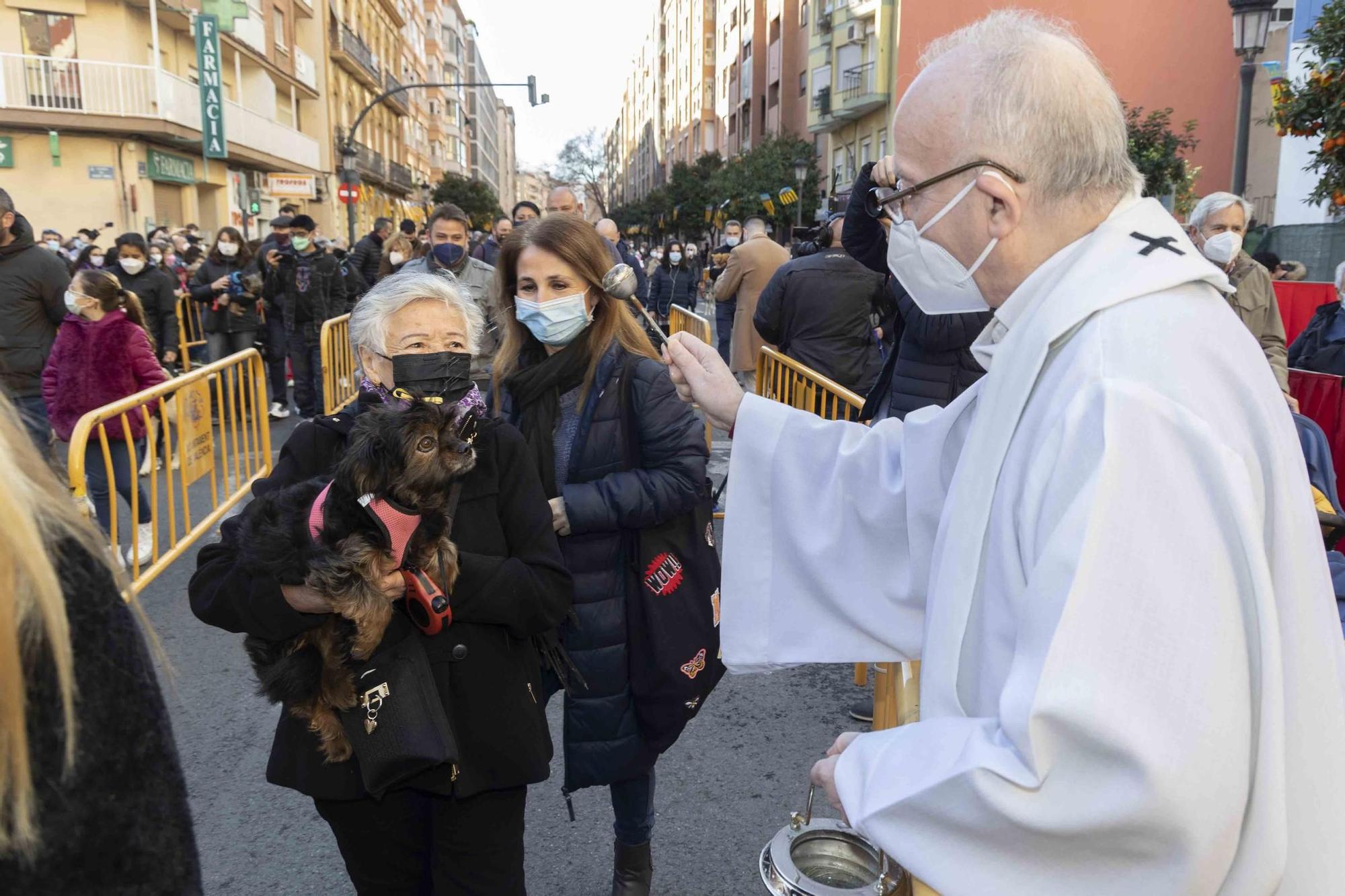 Búscate en la bendición de animales de Sant Antoni