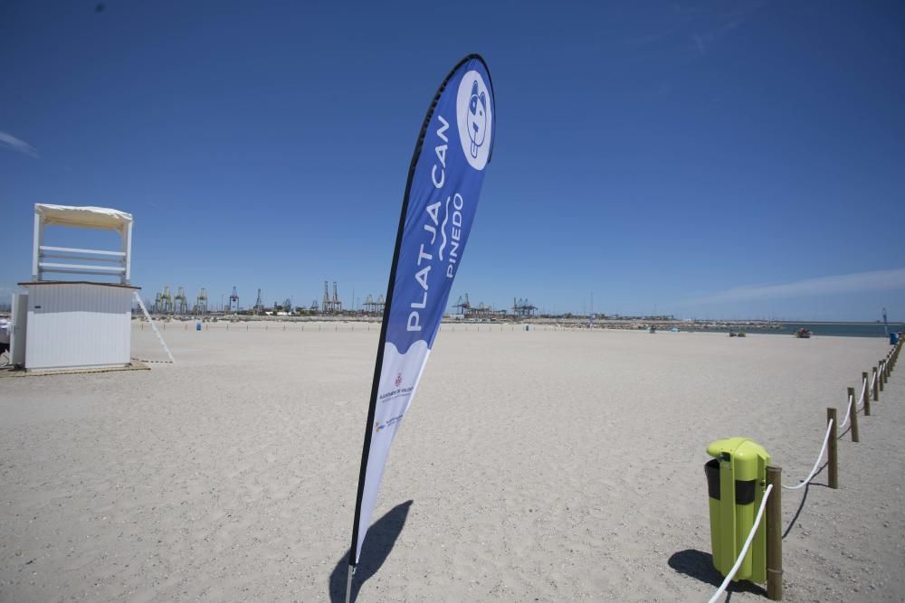 Primer día de la zona para perros en la playa de Pinedo