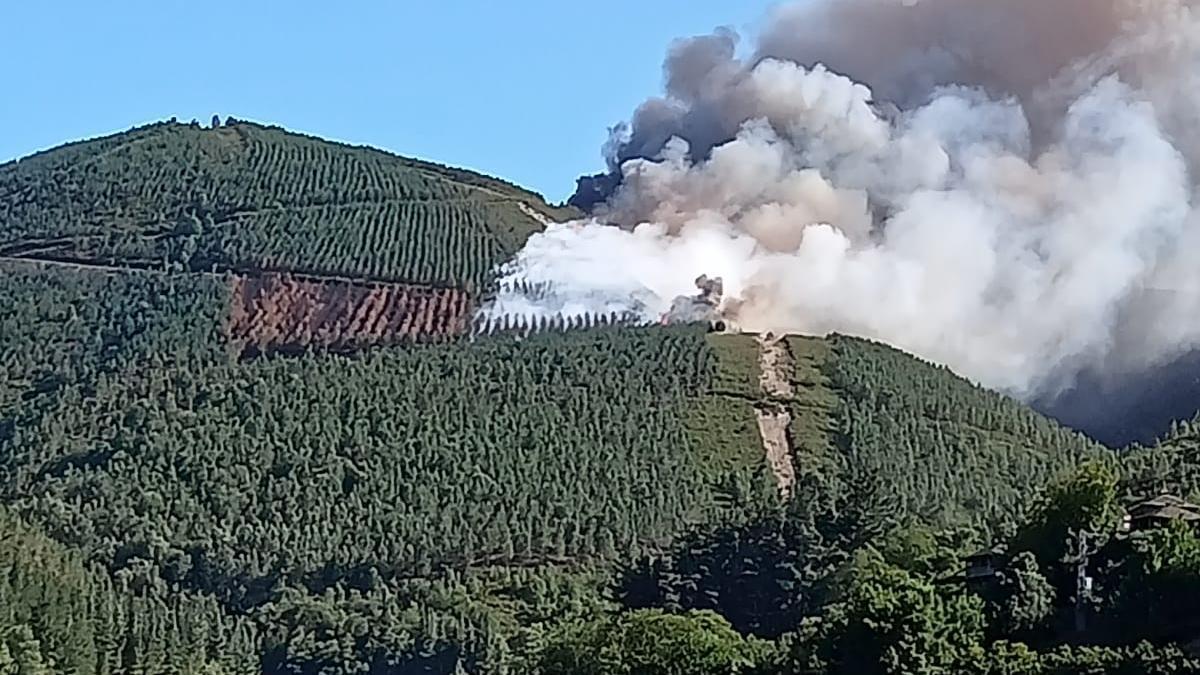 Incendio forestal en Ibias.