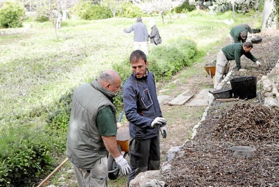 Auf dem historischen Landgut werden Menschen mit Behinderung darin ausgebildet, wie man ökologisches Gemüse anbaut, Pflanzen aus Samen zieht und Obstbäume pflegt.