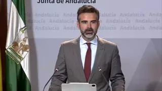 Ramón Fernández-Pacheco en rueda de prensa tras el Consejo de Gobierno