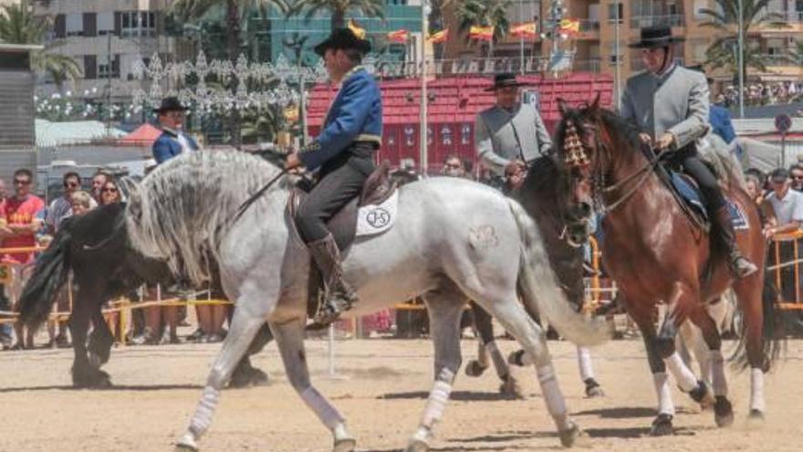 La Feria de Mayo de Torrevieja se despide al ritmo de sevillanas