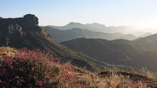 Gran Canaria: el nuevo destino residencial para jóvenes y profesionales