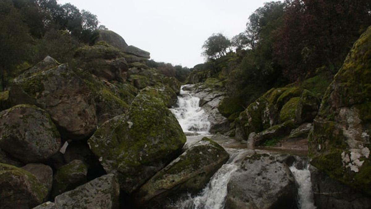 Parajes de Córdoba para una escapada &quot;entre lobos&quot;