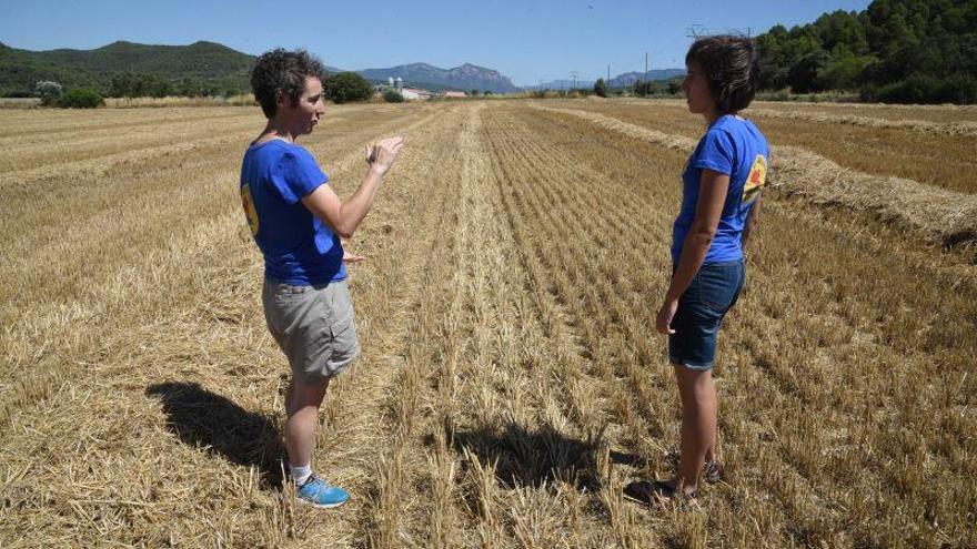 El agua, sustancia política