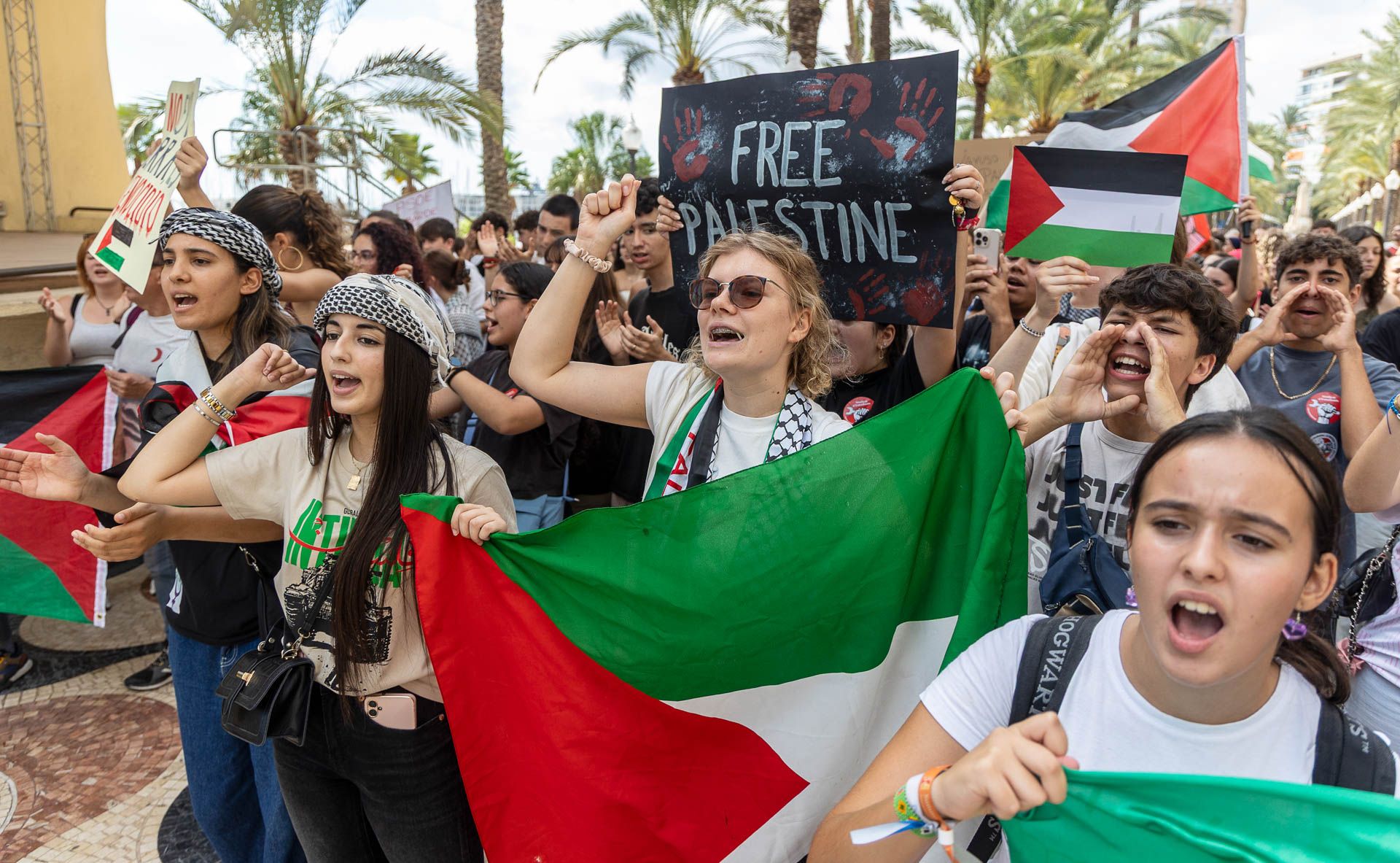 Estudiantes en defensa de Palestina por las calles de Alicante