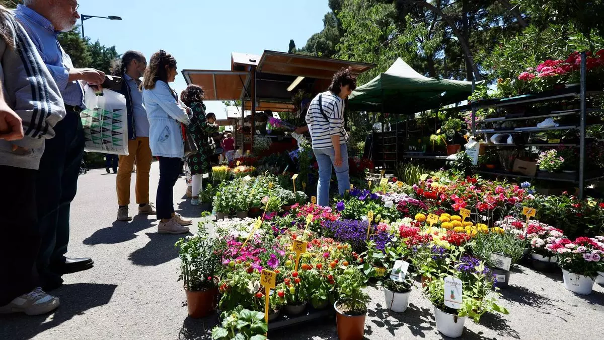 Zaragoza 'florece' más allá del Parque Grande en más de una docena de comercios y empresas