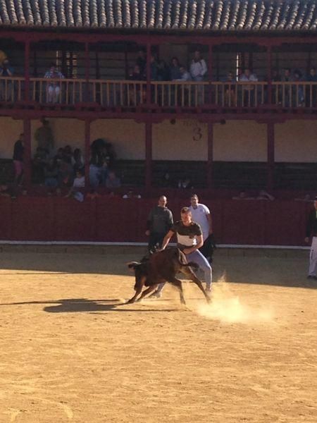 Toro de cajón y encierro urbano en Toro