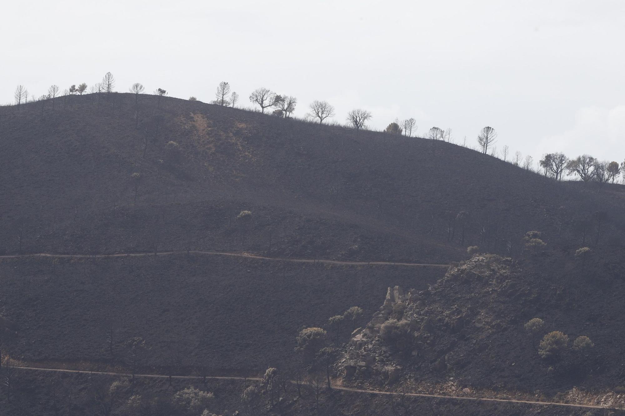 El Paraje de las Peñas Blancas en Estepona arrasado por el fuego