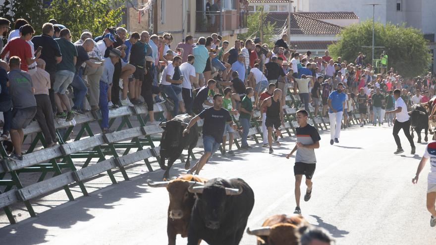 Los novillos de Fuente Ymbro cierran la Feria del Arroz