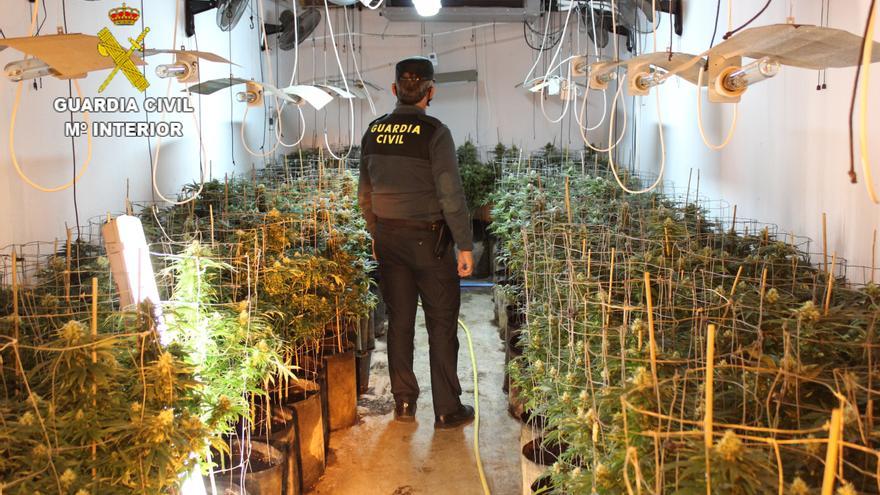 Descubren cultivos de marihuana en dos naves industriales de Benifaió