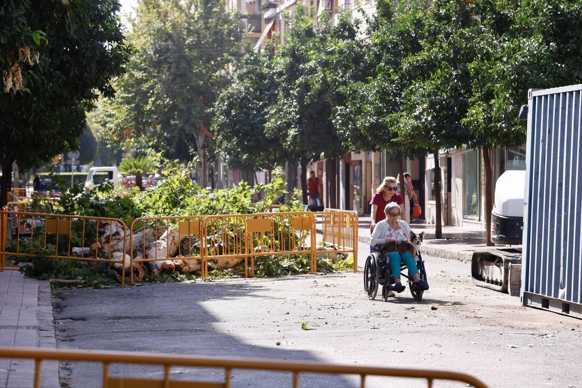 Obras Avenida de La Viñuela, reforma, peatonalización