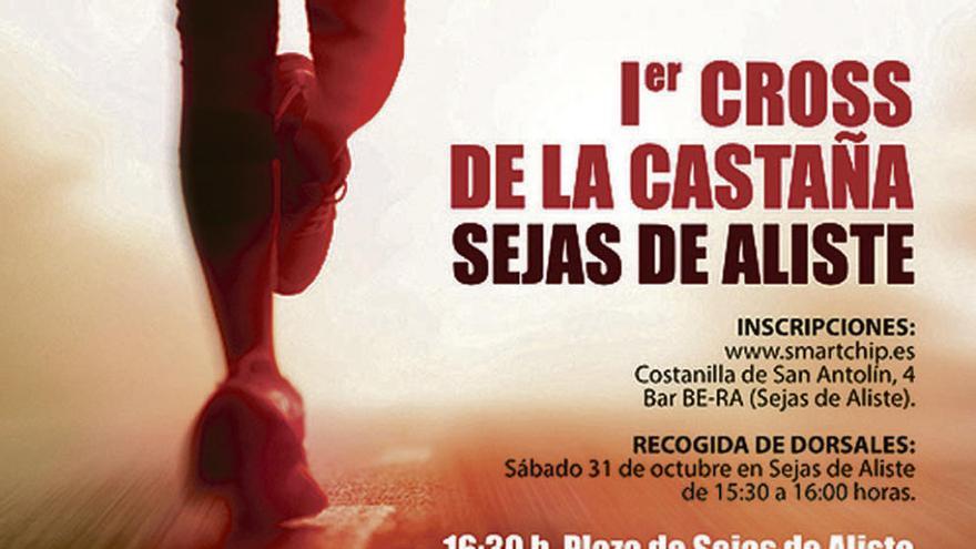 Cartel anunciador de la carrera alistana.